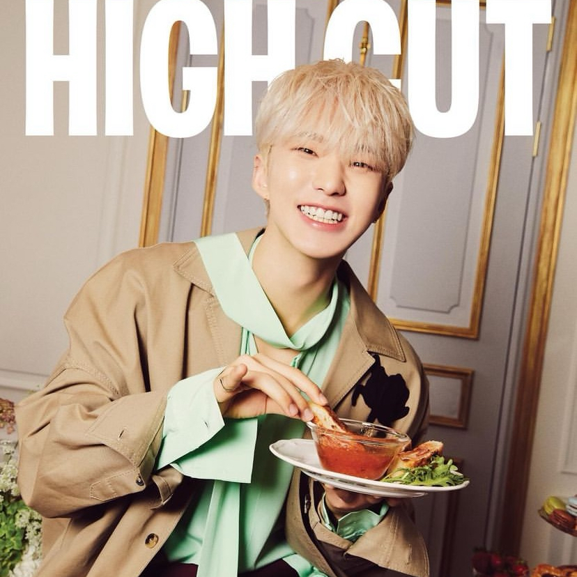A moment captured by Hoshi (SEVENTEEN)'s fan