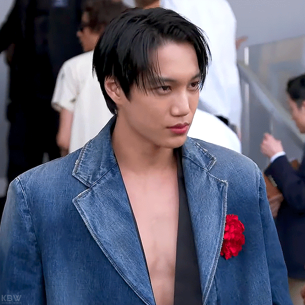 A moment captured by Kai (EXO)'s fan