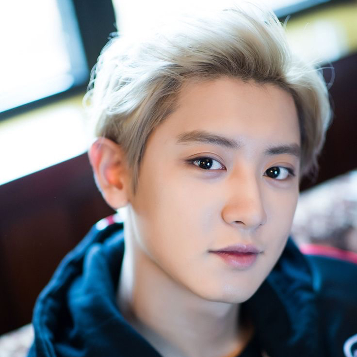 燦烈 (EXO)的幕後花絮