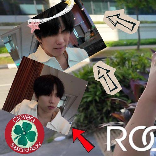 Popular profile picture of Rocky loved by fans