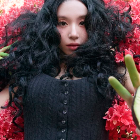 채영 (TWICE)의 최신 사진