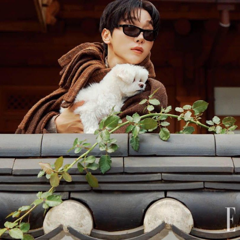 勝寛 (SEVENTEEN)的幕後花絮