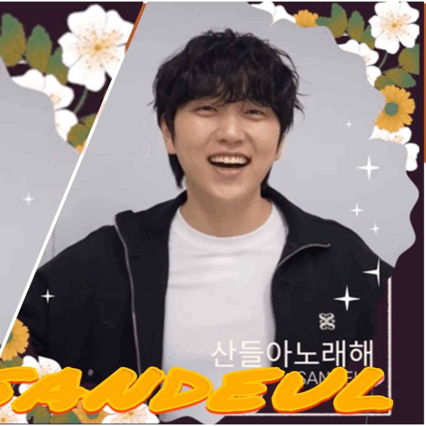 Recent activity shot of Sandeul (B1A4)