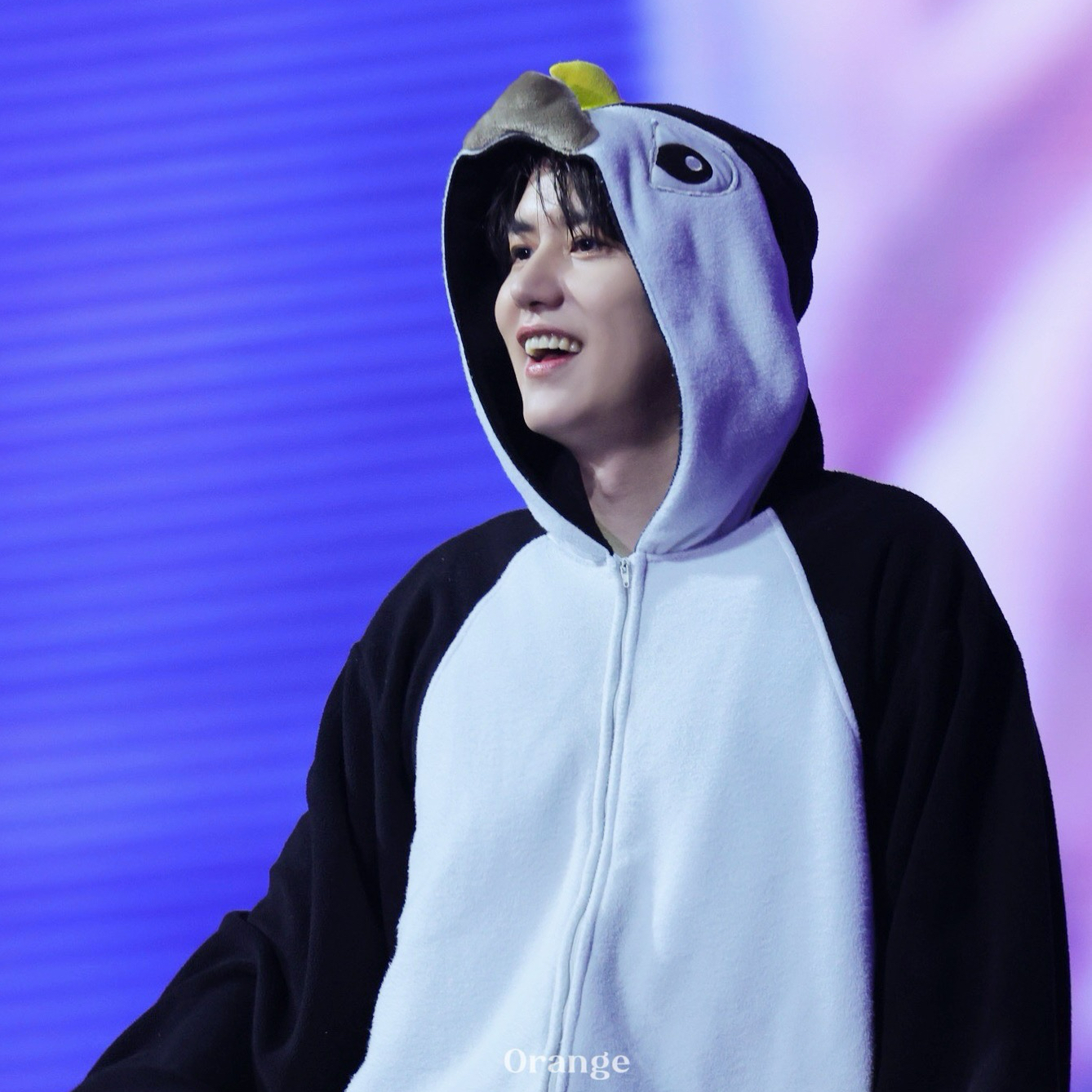 A moment captured by Kyuhyun (Super Junior)'s fan