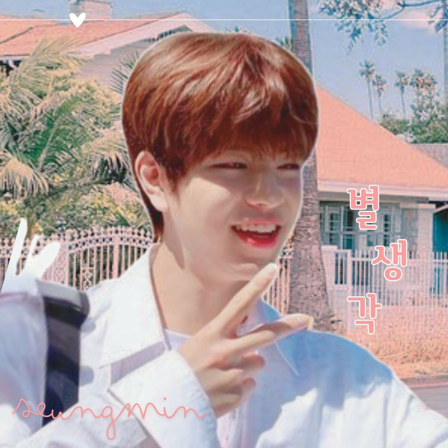 Recent activity shot of Seungmin (Stray Kids)