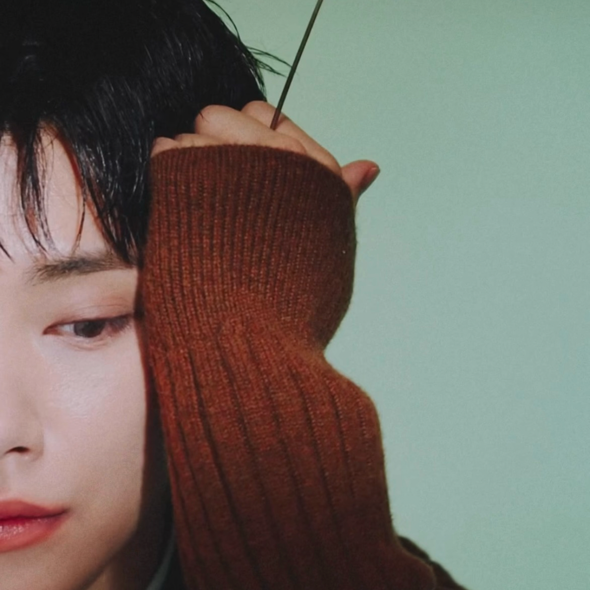 A moment captured by Joshua (SEVENTEEN)'s fan