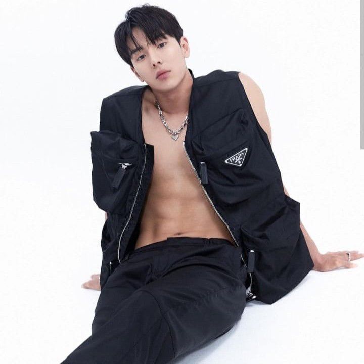 A moment captured by Shownu (MONSTA X)'s fan