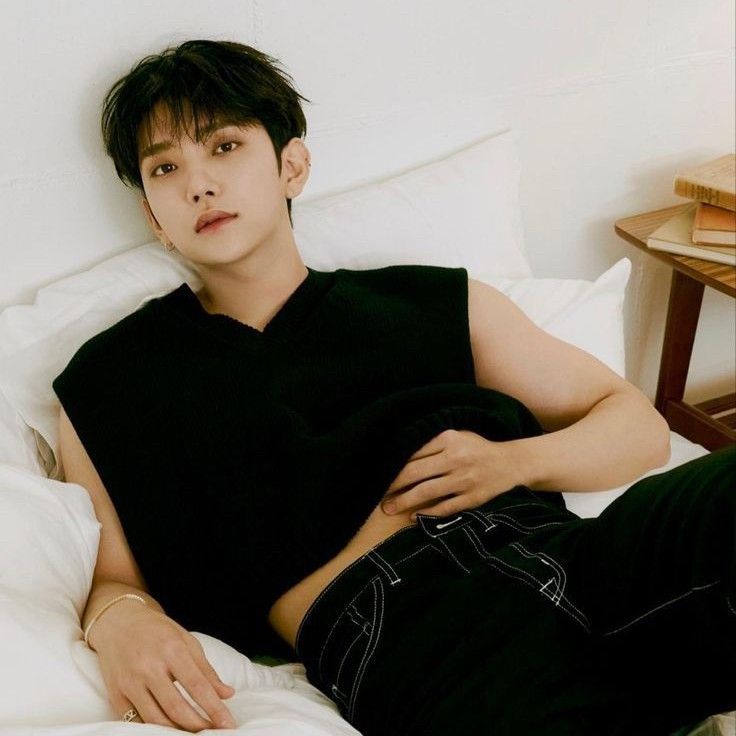 Joshua (SEVENTEEN)的最新活动照片