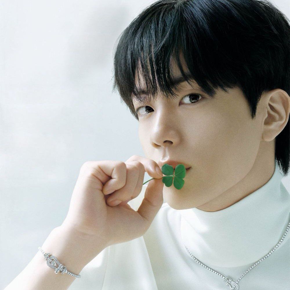 진 (방탄소년단) 팬이 찍은 순간