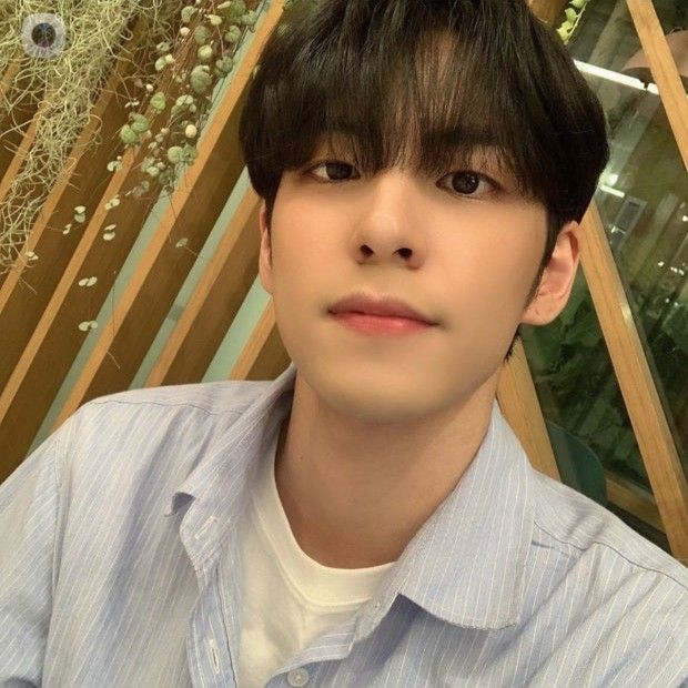 A moment captured by Wonpil (DAY6)'s fan