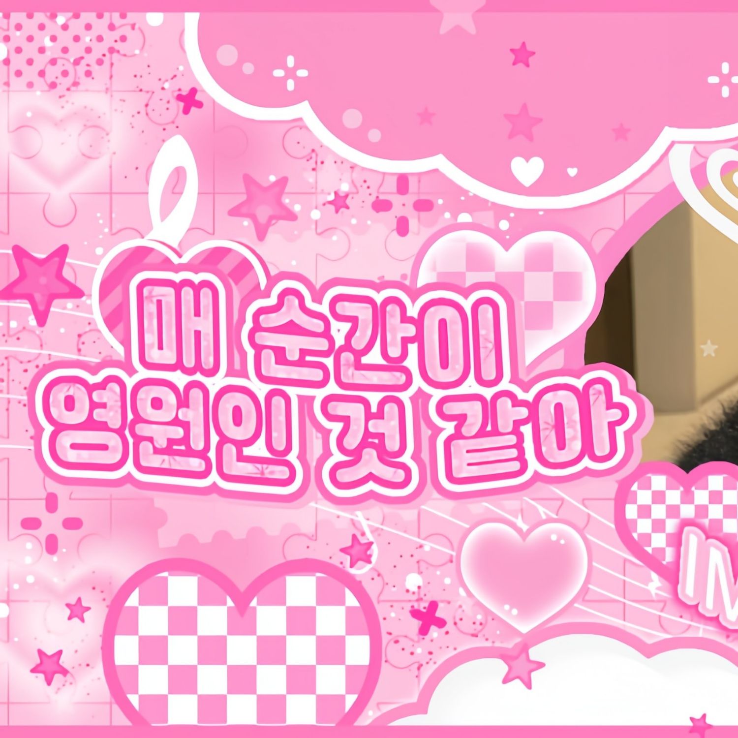 Latest photo of Anna (MEOVV)