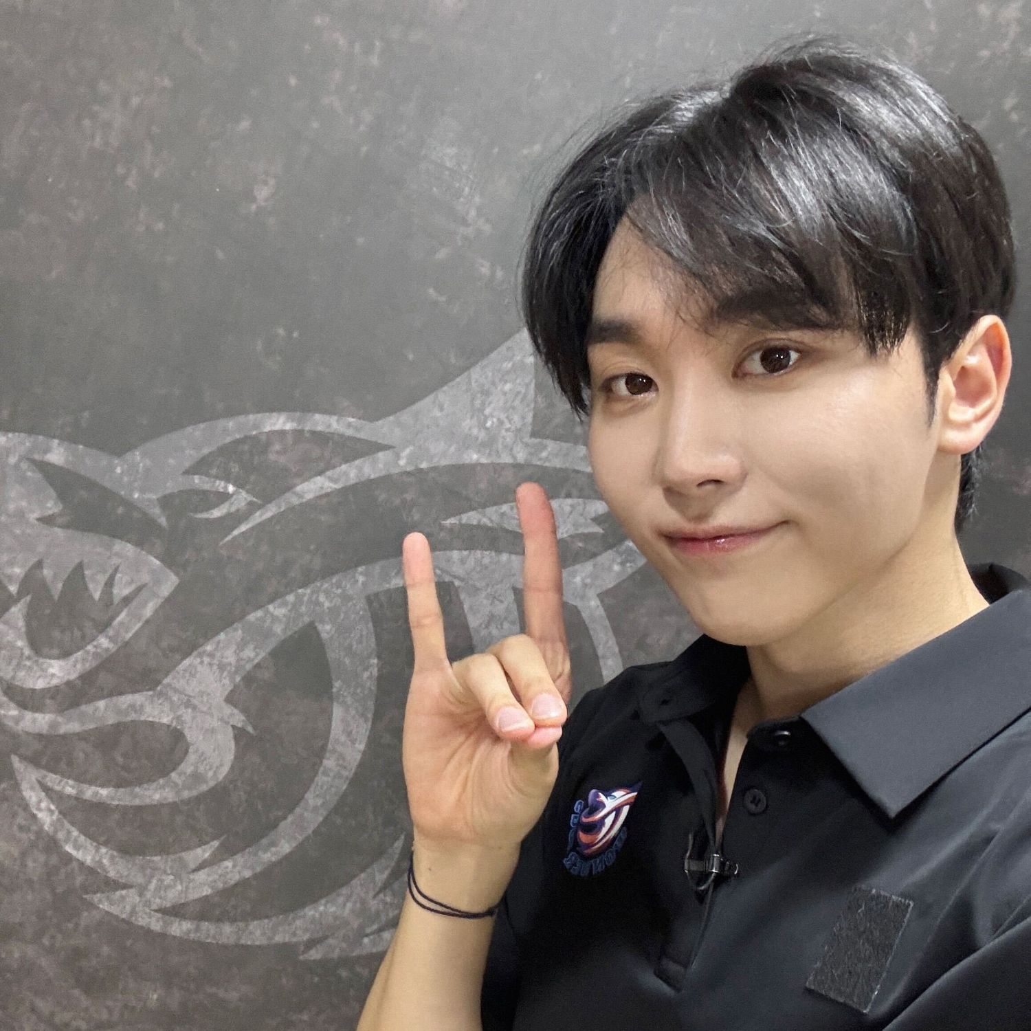 세븐틴 팬이 찍은 순간