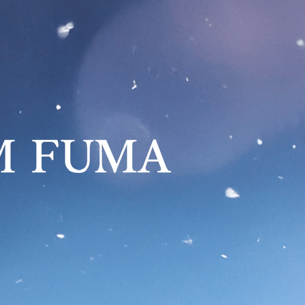 Recent activity shot of Fuma (&TEAM)