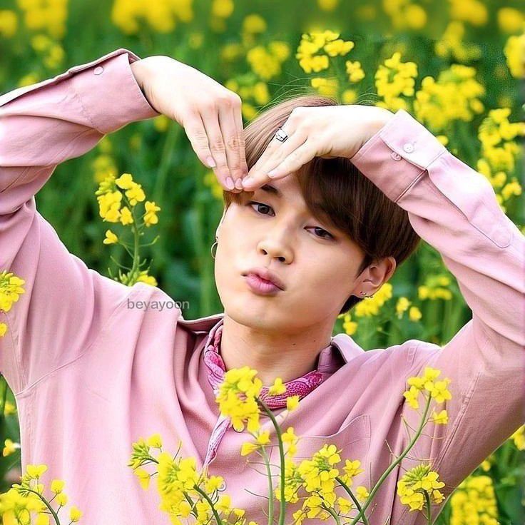 A moment captured by Jimin (BTS)'s fan