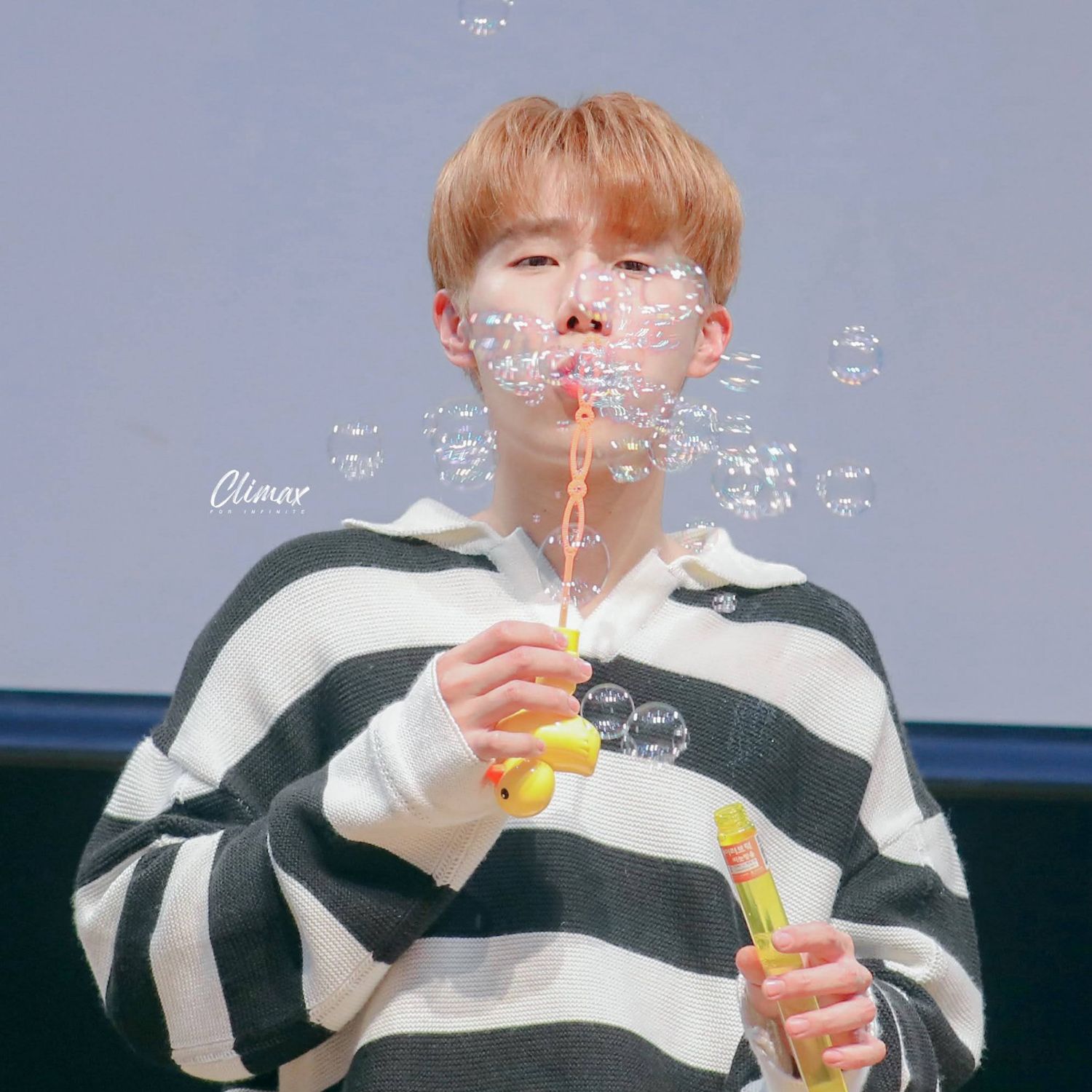 A moment captured by Sungkyu (INFINITE)'s fan