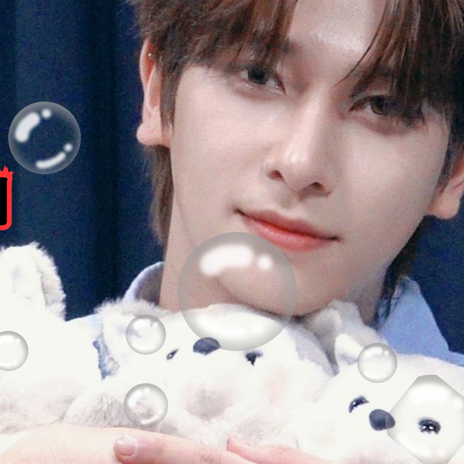 翰潔 (POLARIX)的最新照片