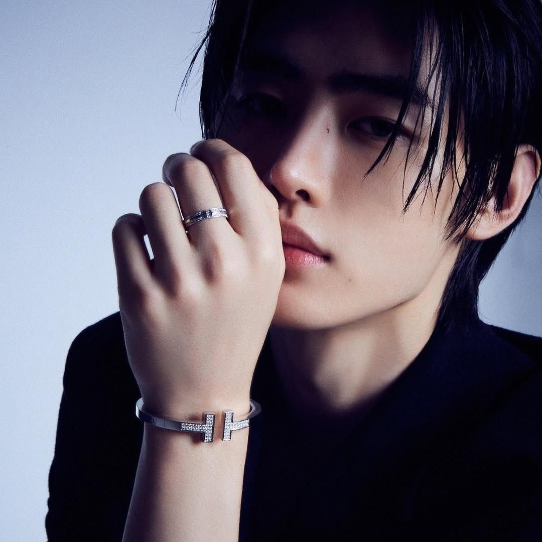 Foto terbaru Sunghoon (ENHYPEN)