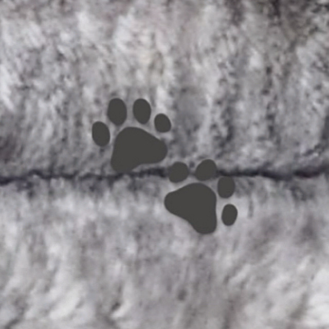 Latest photo of Ravn