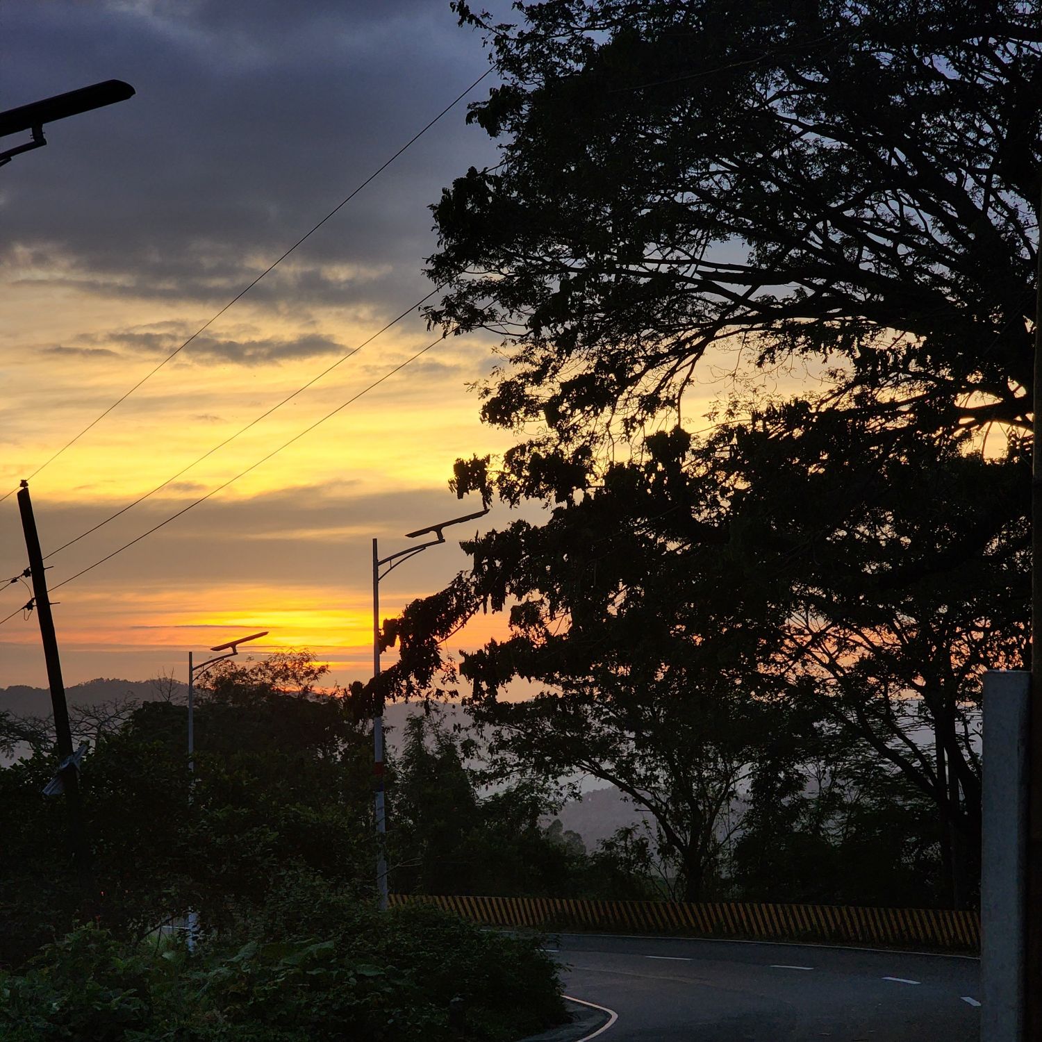 Momen yang diabadikan oleh penggemar SEVENTEEN