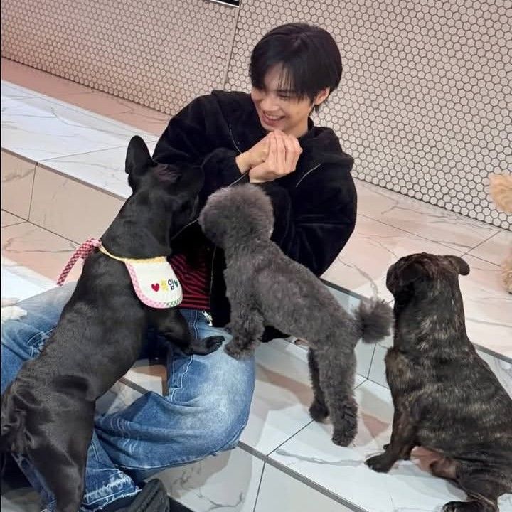 Momen yang diabadikan oleh penggemar Rocky