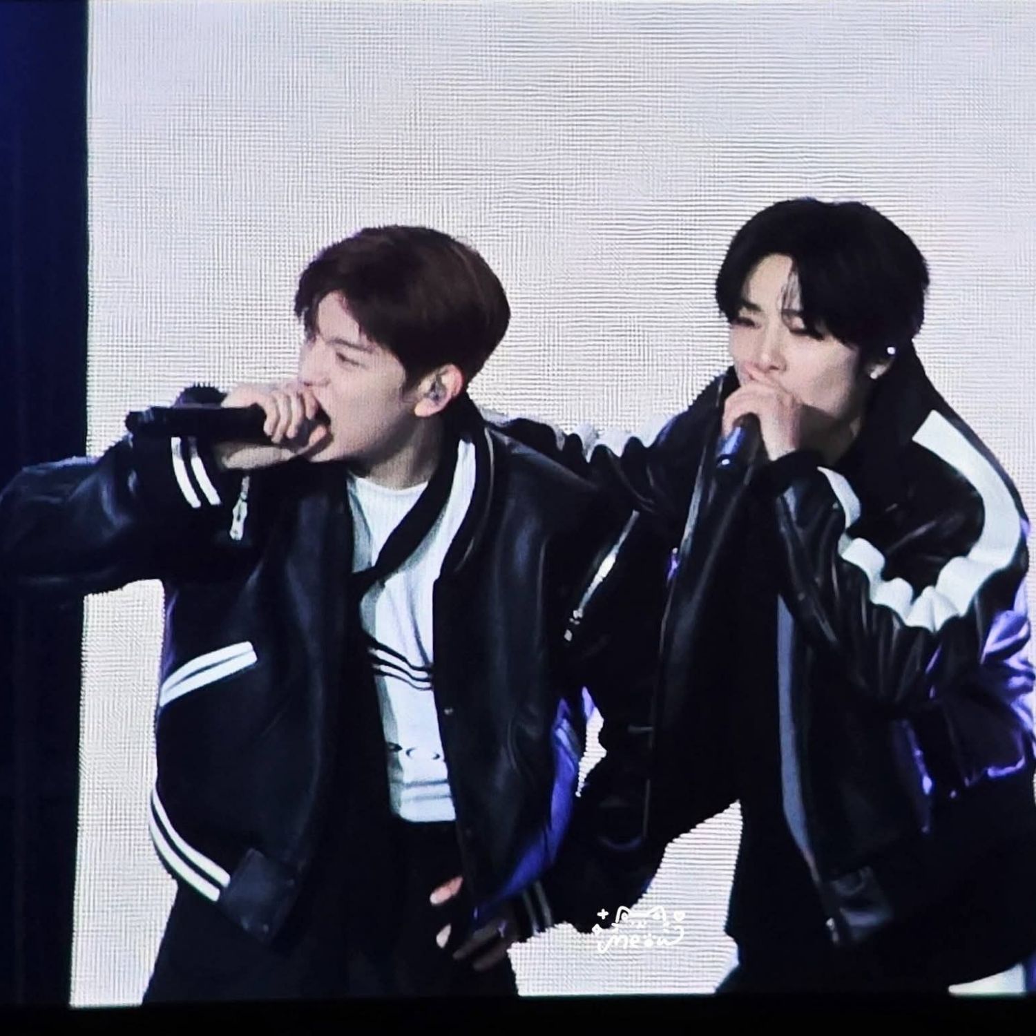 Recent activity shot of Stray Kids