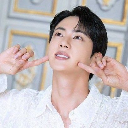 A moment captured by Jin (BTS)'s fan