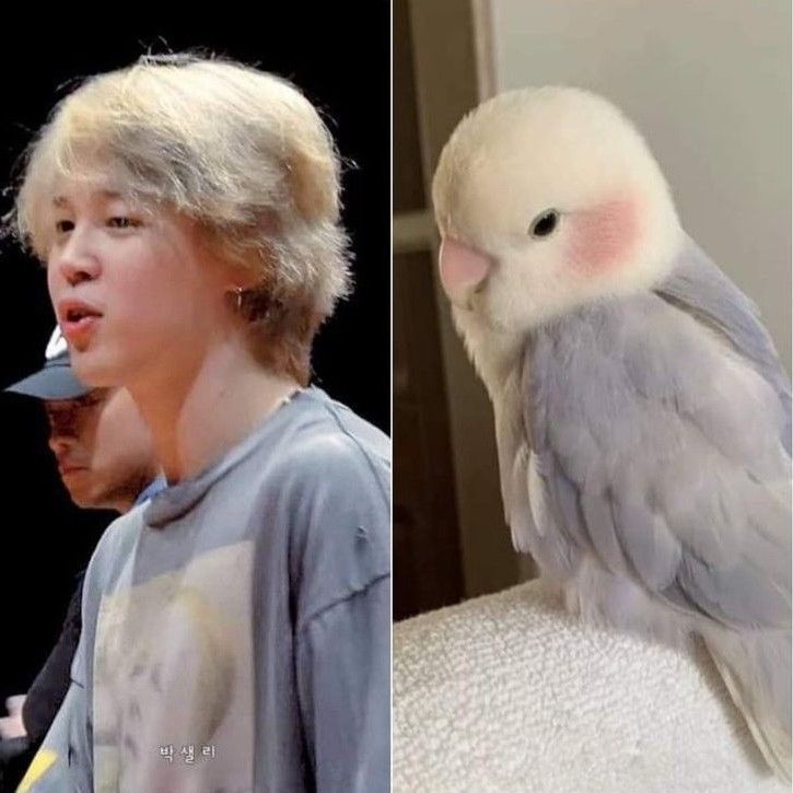지민 (방탄소년단)의 최신 사진