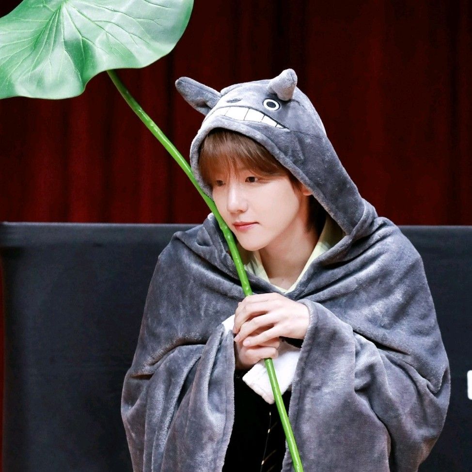 伯贤 (EXO)粉丝拍下的瞬间