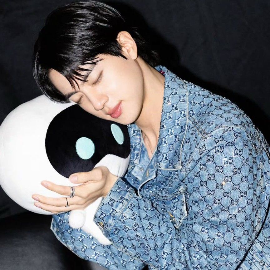 A moment captured by Jin (BTS)'s fan