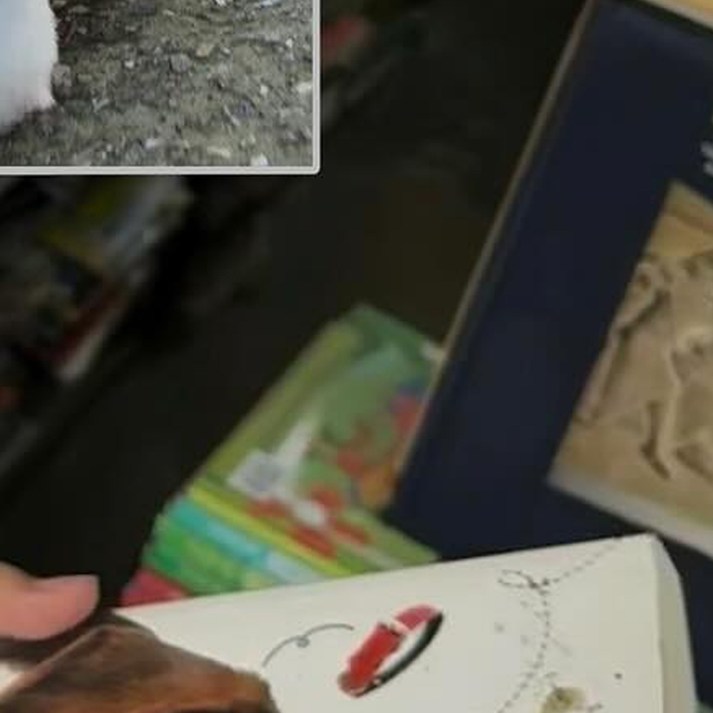 Behind-the-scenes cut of Go Won (Loossemble)