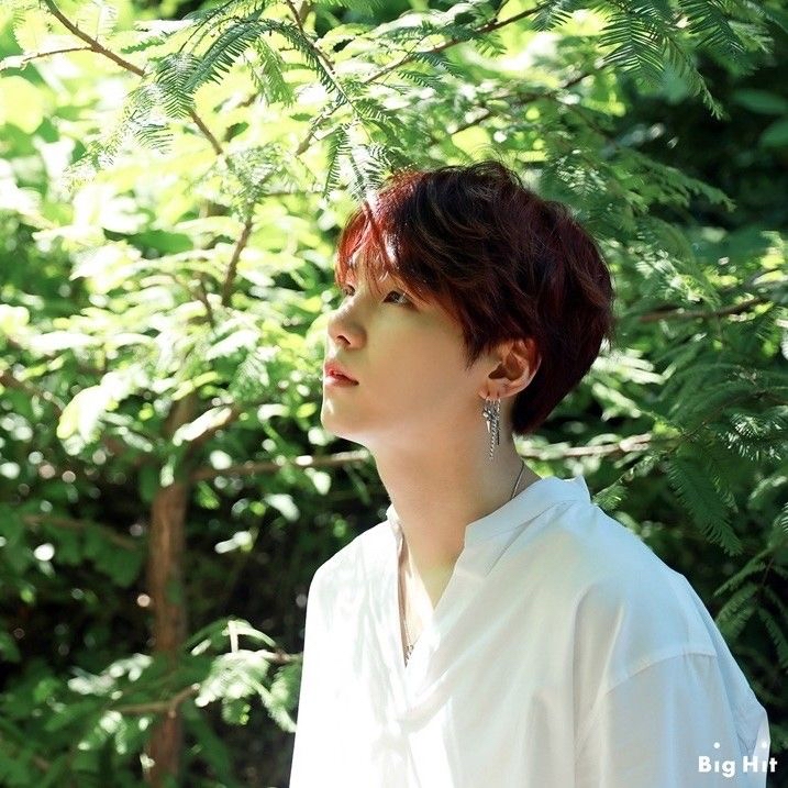 Recent activity shot of SUGA (BTS)