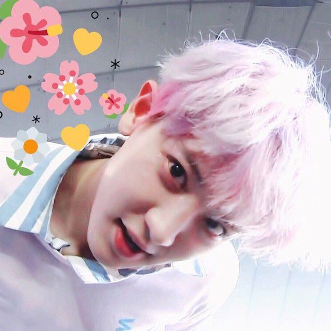 A moment captured by Chanyeol (EXO)'s fan