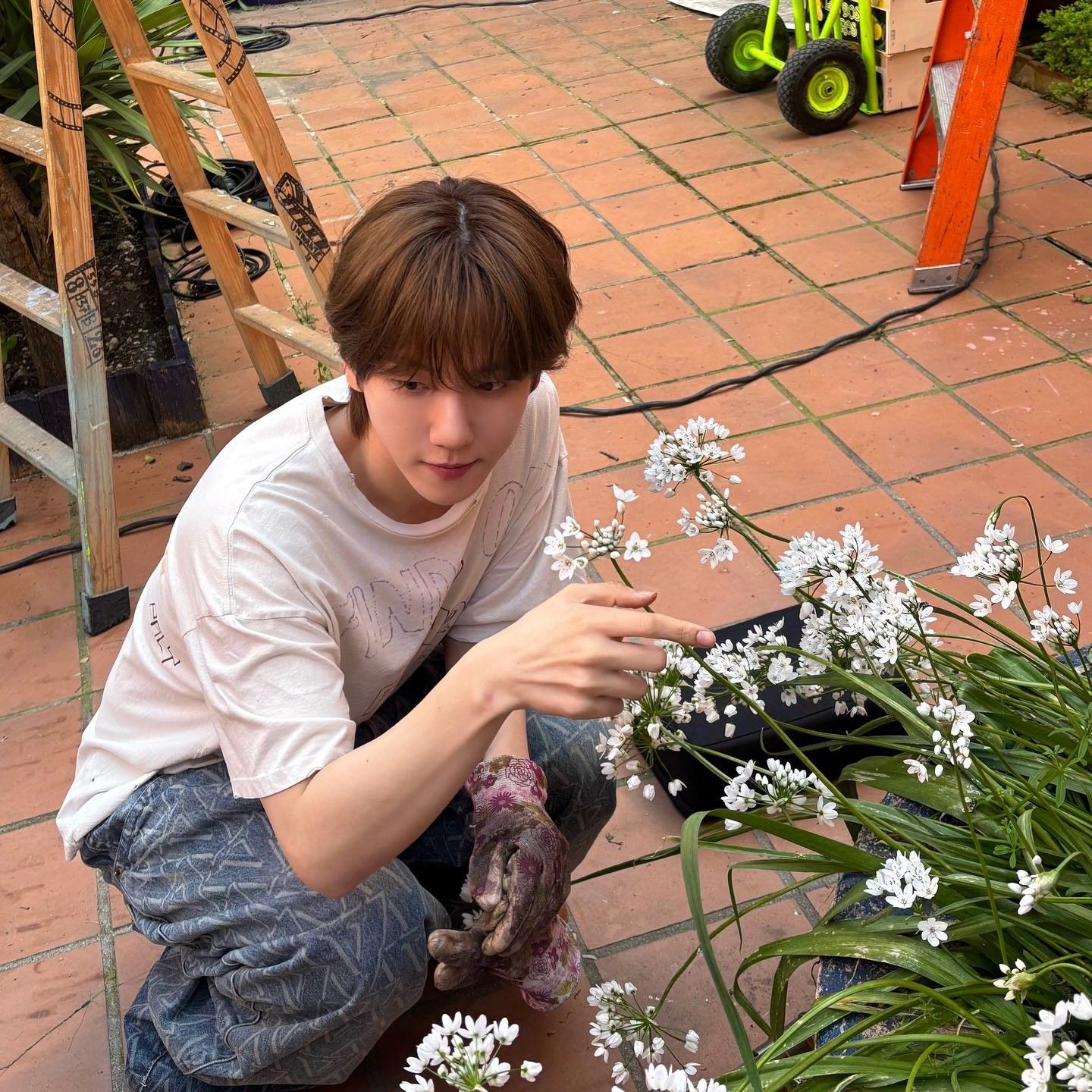 伯贤 (EXO)粉丝拍下的瞬间