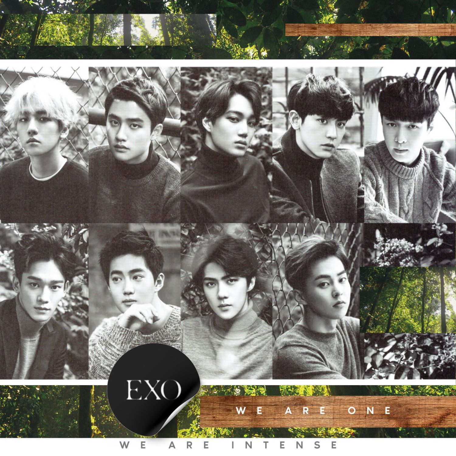 Recent activity shot of EXO