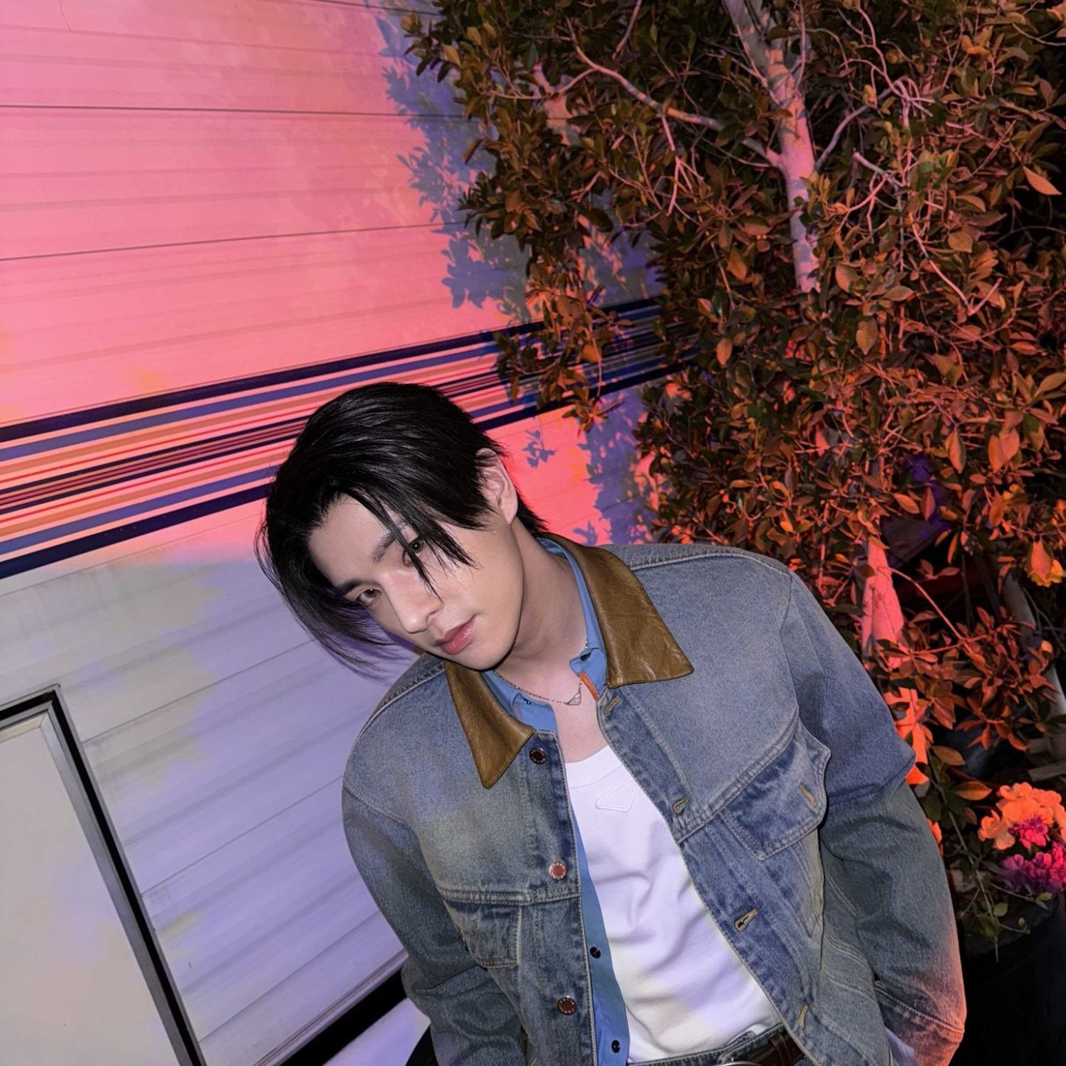 ENHYPEN 팬이 찍은 순간