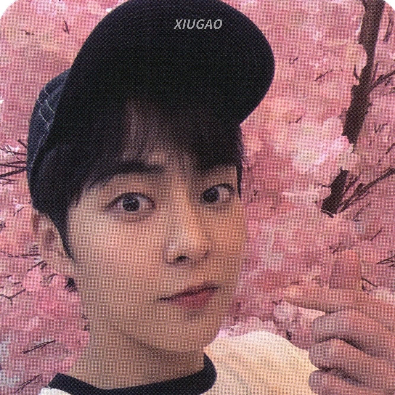 Latest photo of Xiumin (EXO)
