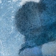 A moment captured by Seoho (ONEUS)'s fan