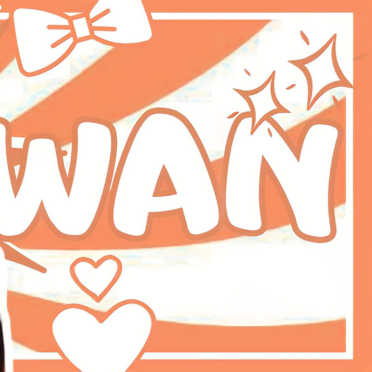 SEVENTEEN粉絲拍下的瞬間