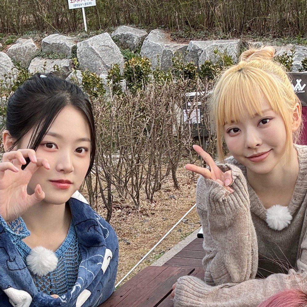 Recent activity shot of Loossemble