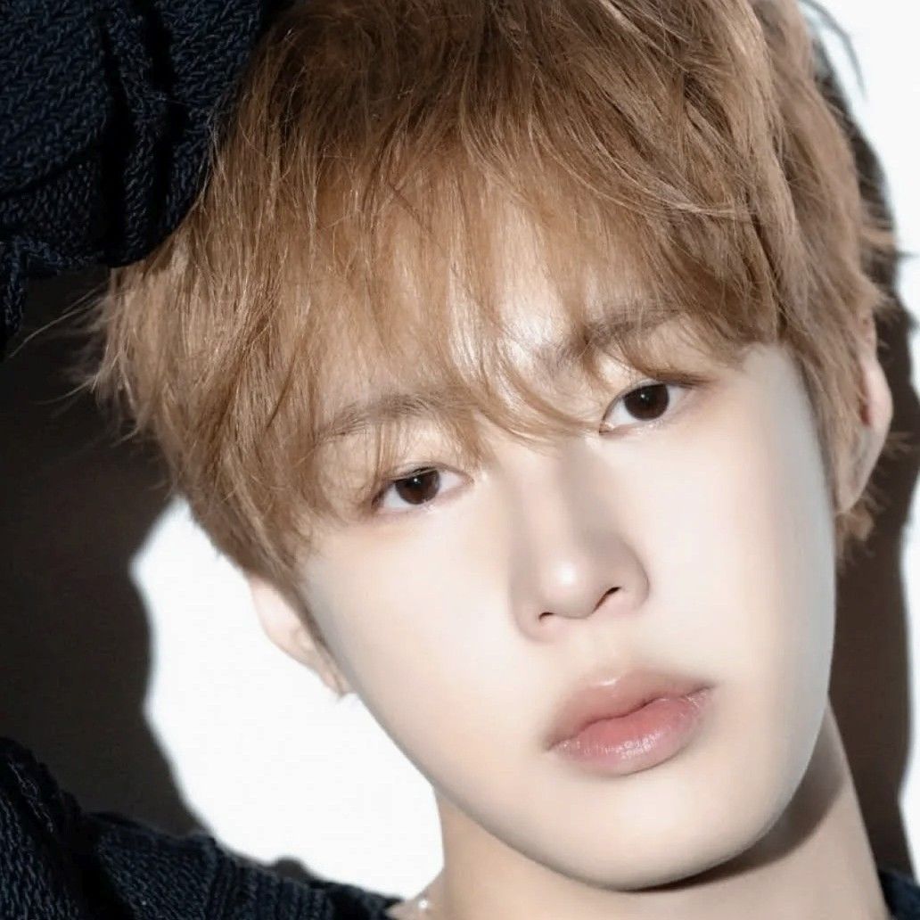 Latest photo of Ha Sungwoon