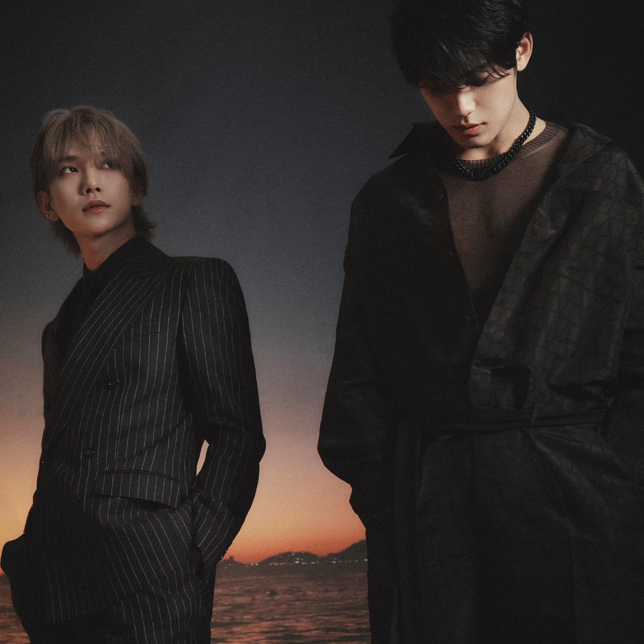 SEVENTEENファンが撮った瞬間