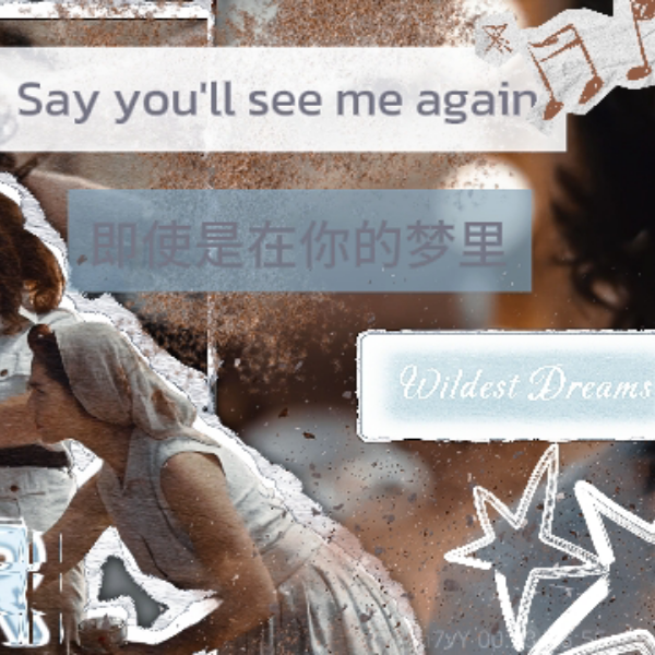 A moment captured by Taylor Swift's fan