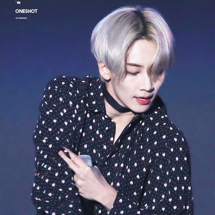 정한 (세븐틴) 팬이 찍은 순간