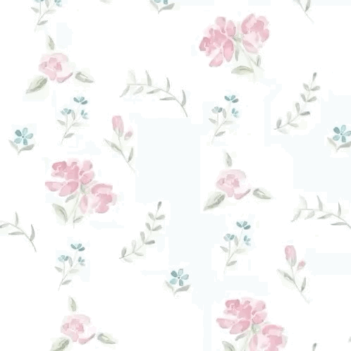 A moment captured by ME:I's fan