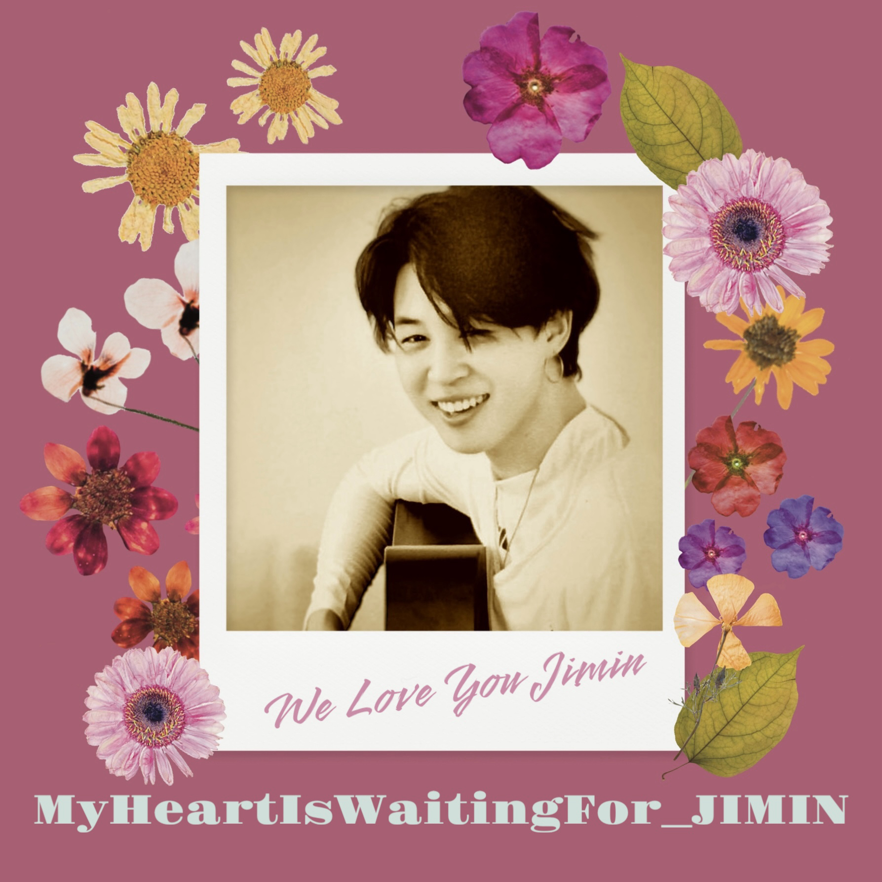 A moment captured by Jimin (BTS)'s fan