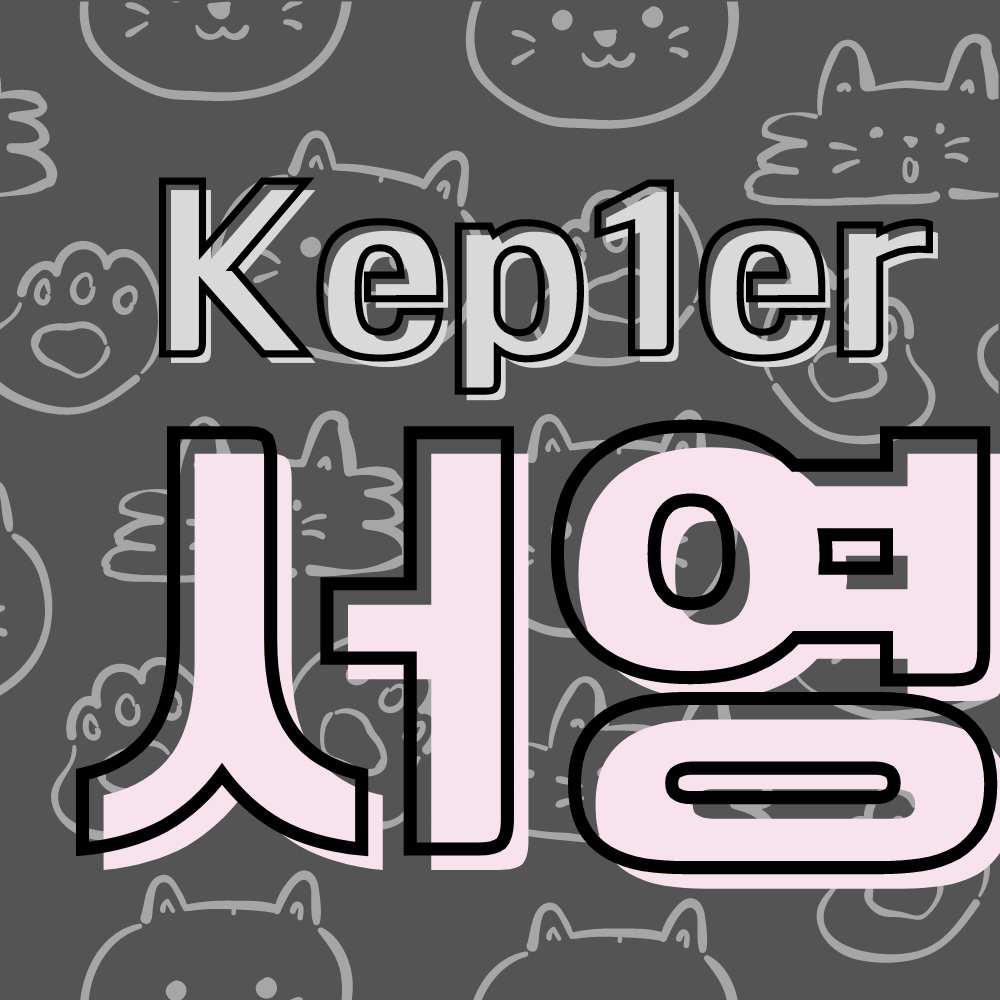 A moment captured by Seo Youngeun (Kep1er)'s fan