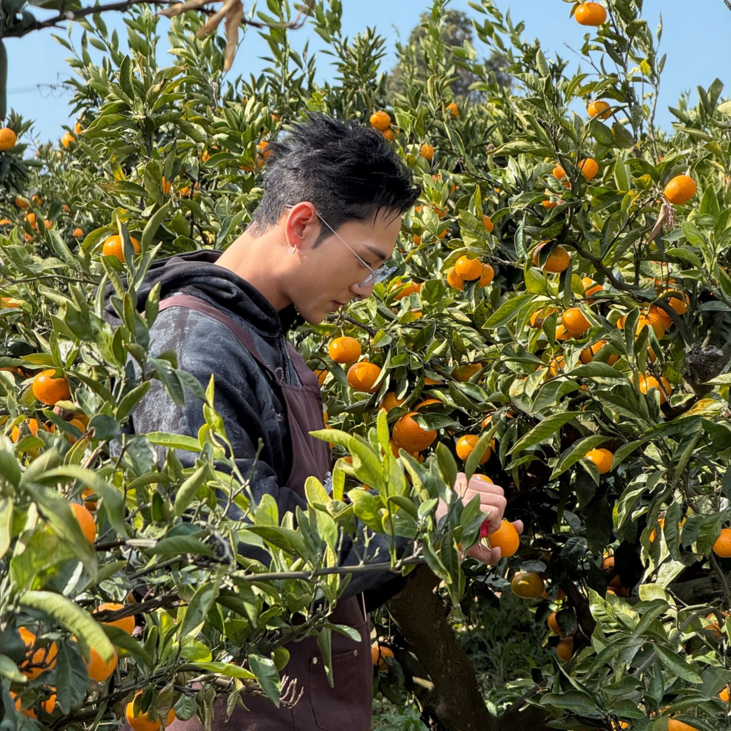 백호 팬이 찍은 순간