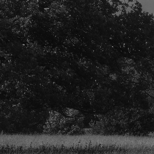 Explosive post in the Choeaedol community