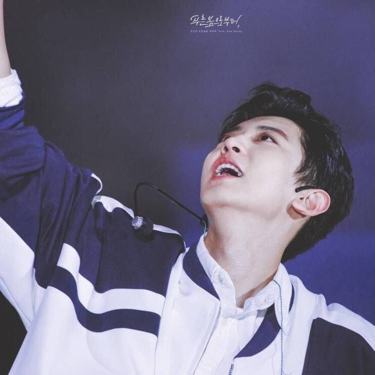 A moment captured by Chanyeol (EXO)'s fan