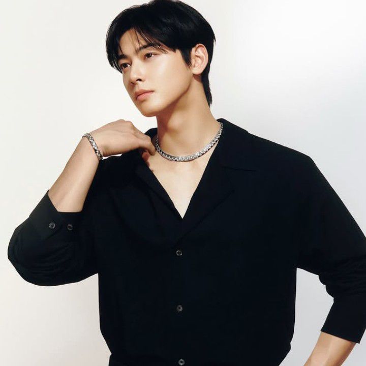 Potret di balik layar ASTRO